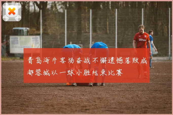 青岛海牛客场奋战不懈遗憾落败成都蓉城以一球小胜结束比赛
