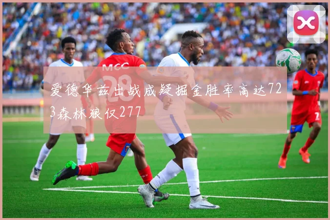 爱德华兹出战成疑掘金胜率高达723森林狼仅277